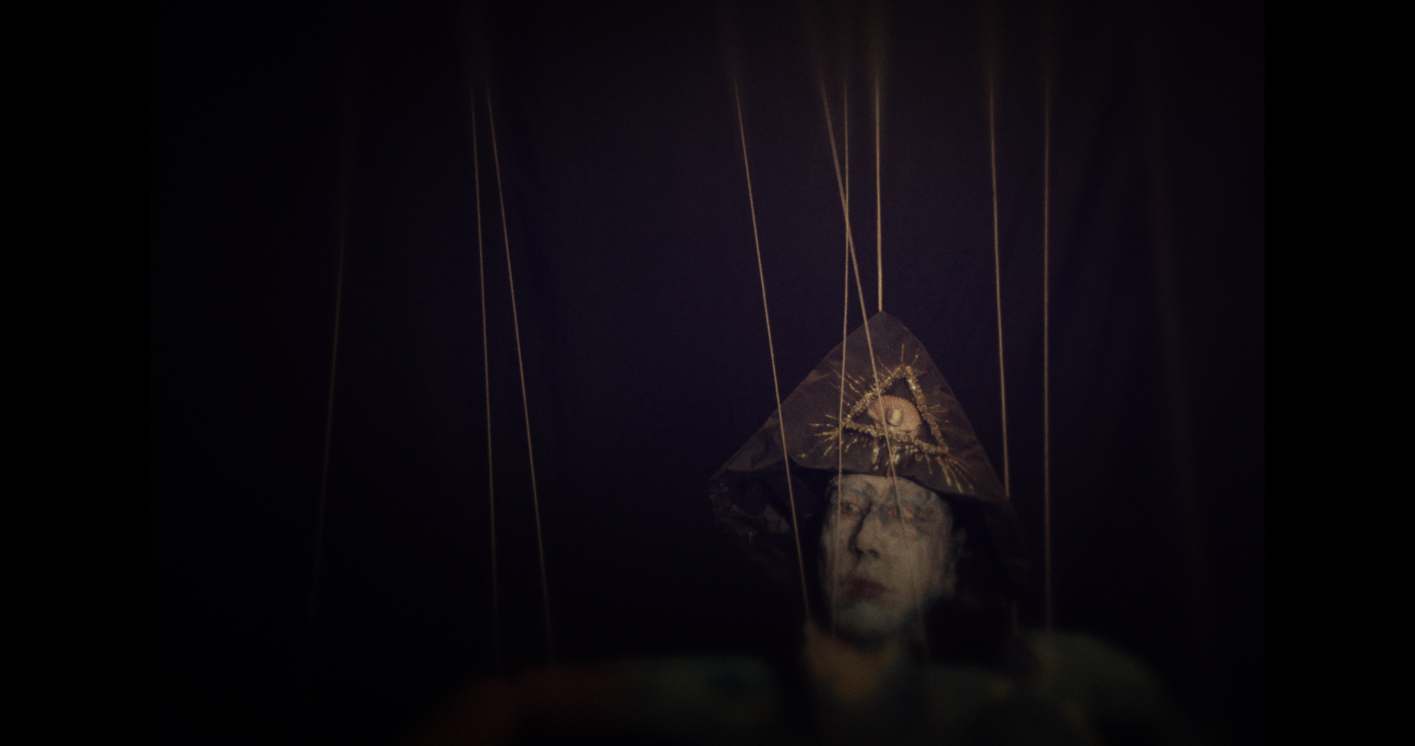Animalia Paradoxa — film still 13