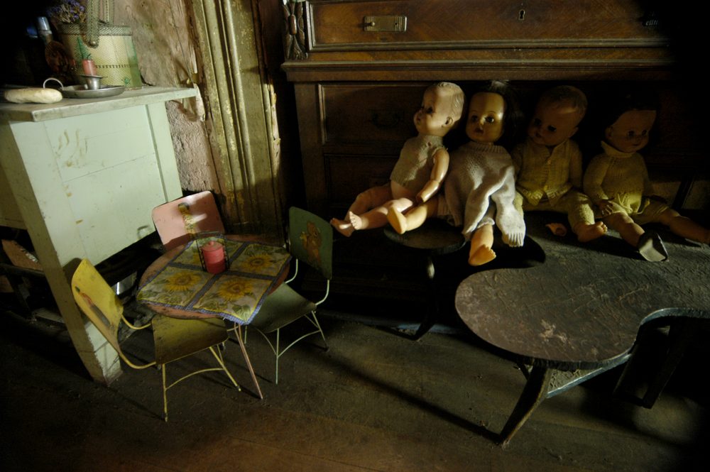 Photograph