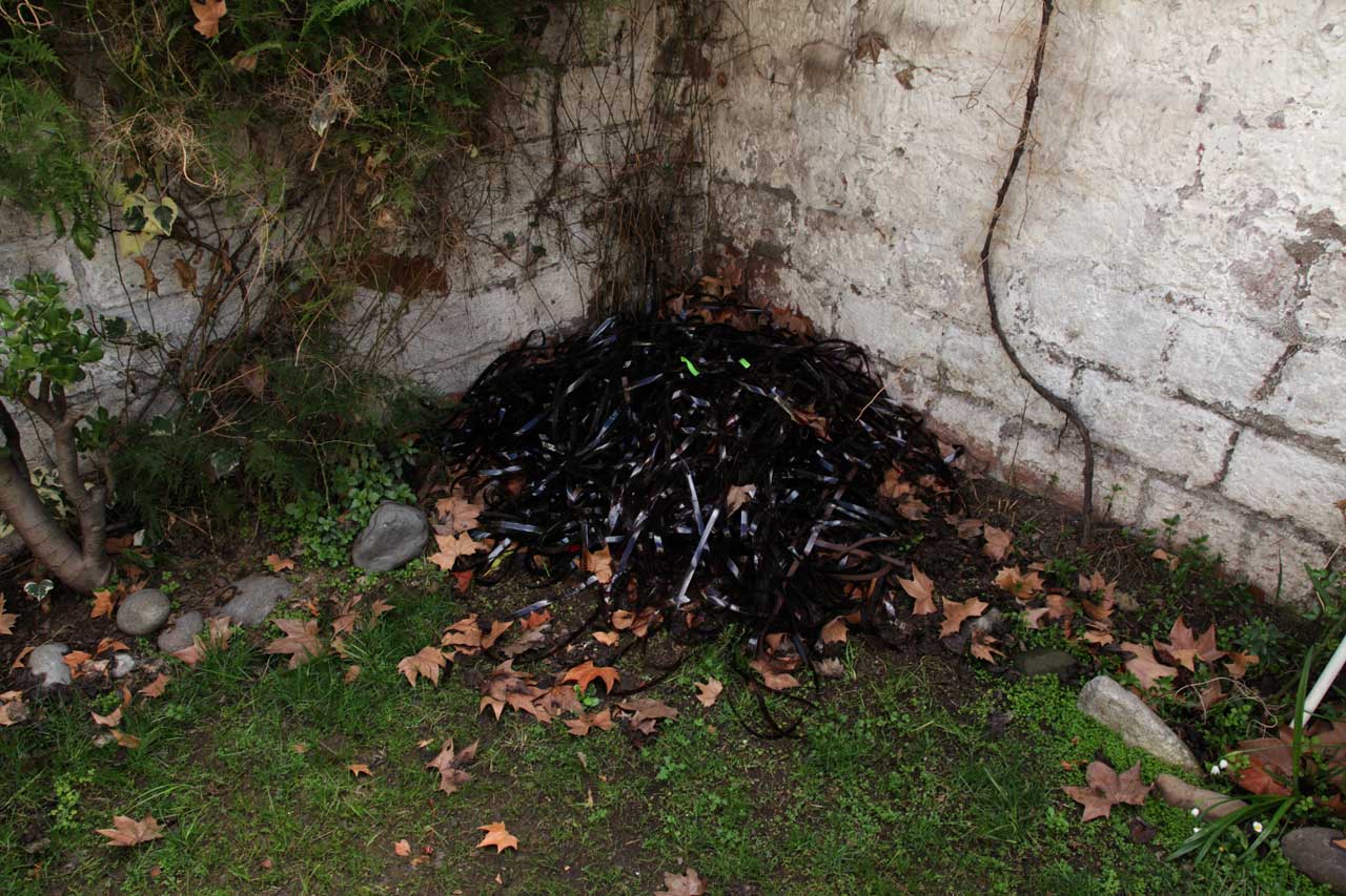 Burial 2 (August 2011)