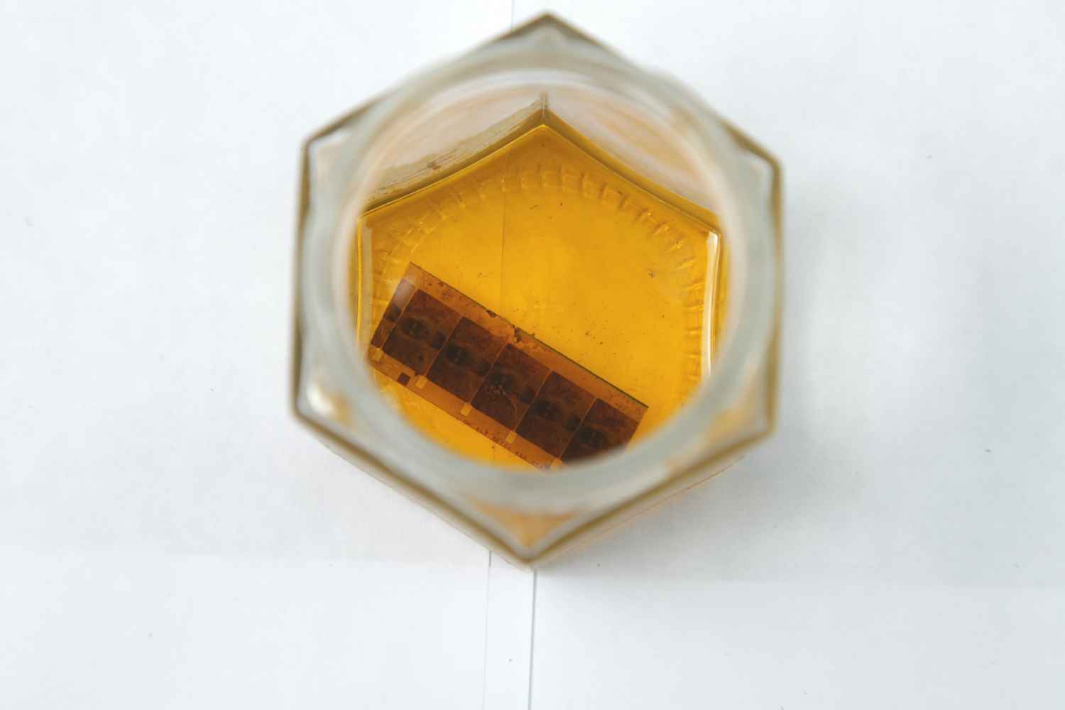 7- virginia oil / aceite virginia (17 weeks / semanas)