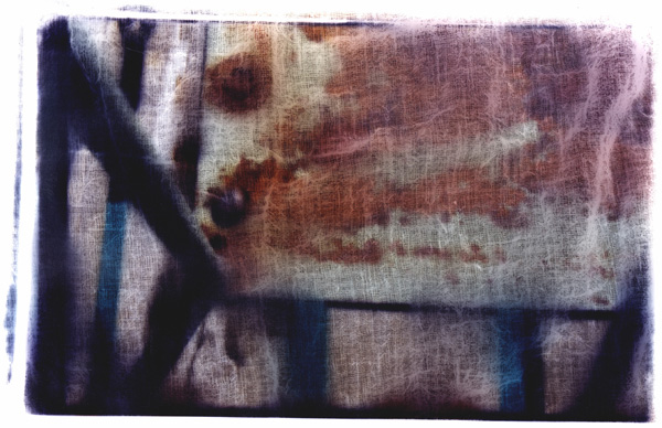 Photograph