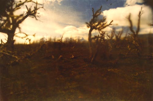 Photograph