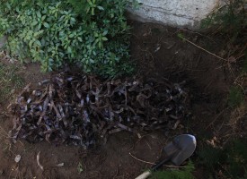 Unearthing 5 & 6 (April 2013)