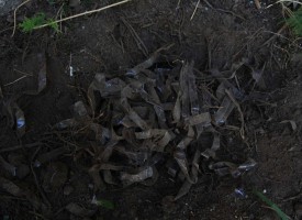 Unearthing 5 & 6 (April 2013)