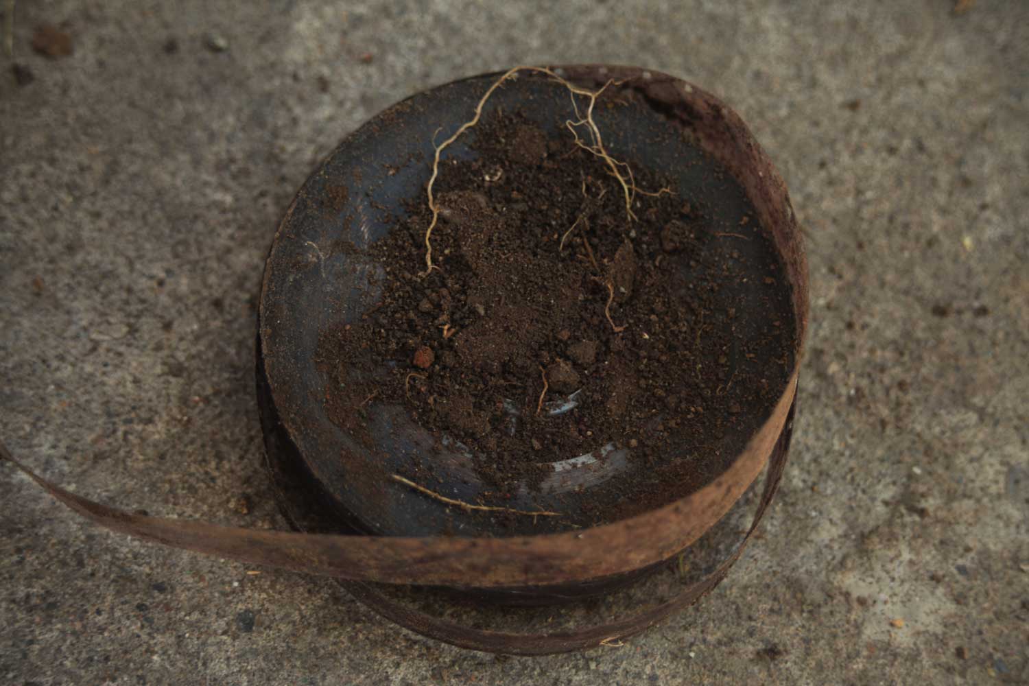 Unearthing 7 (Nov 2013)