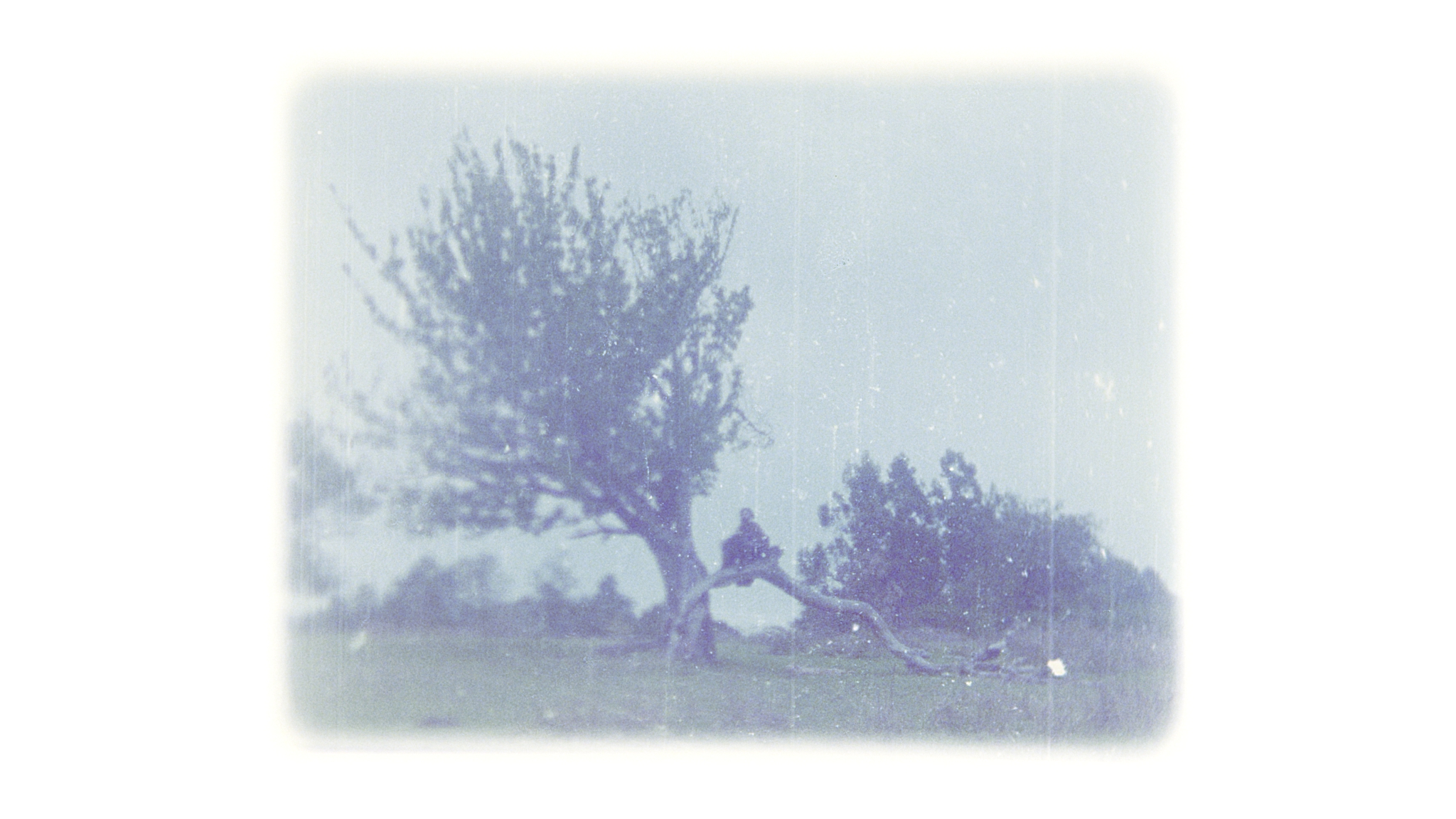Entierro: Luz subterránea — film still