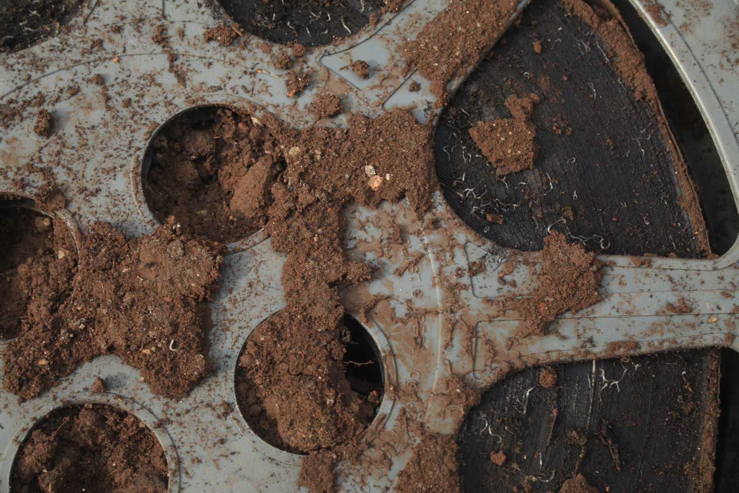 Unearthing 8 (July 2014)