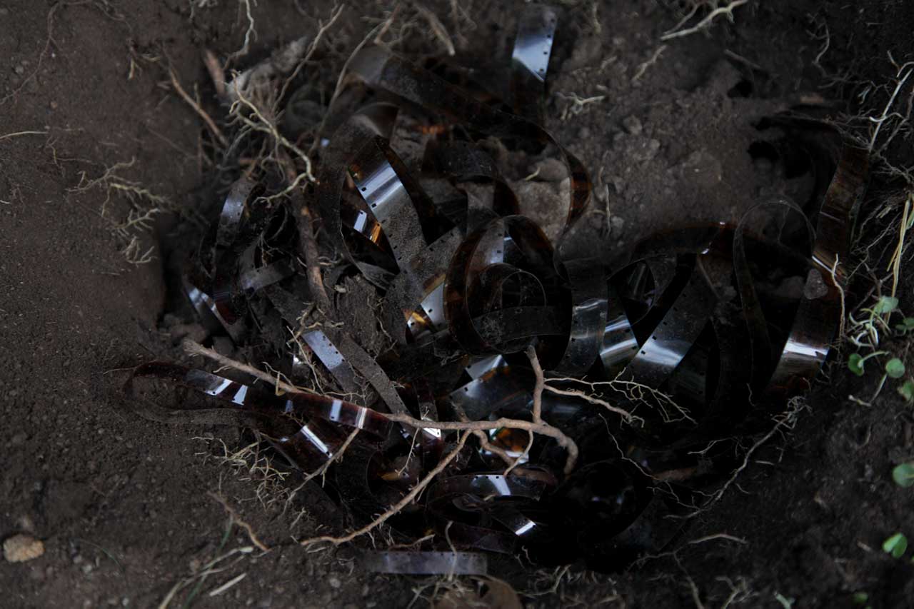 Burials 3,4,5 & 6 (March 2012)