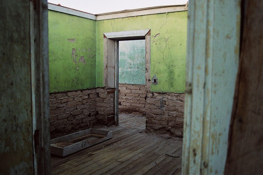 Photograph