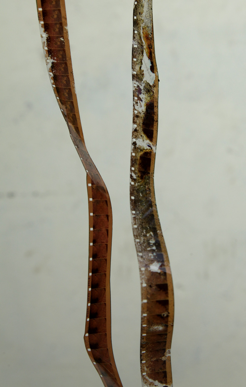 Unearthing 2 (February 2012)