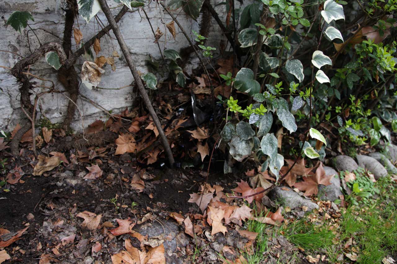 Burial 2 (August 2011)