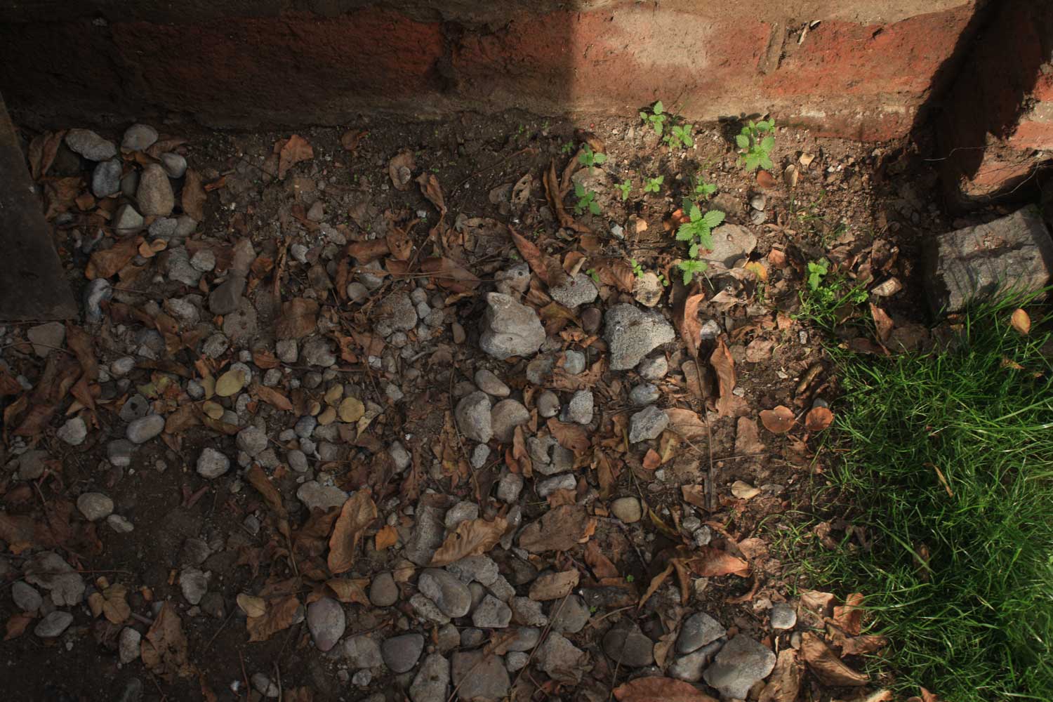 Unearthing 8 (July 2014)