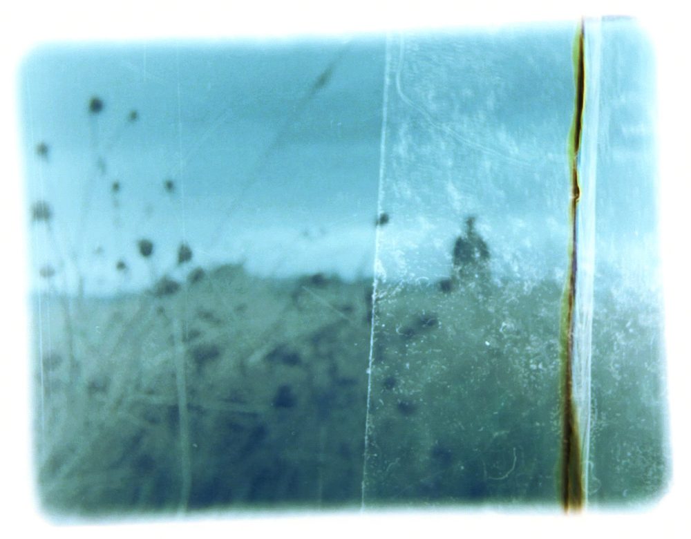 Photograph