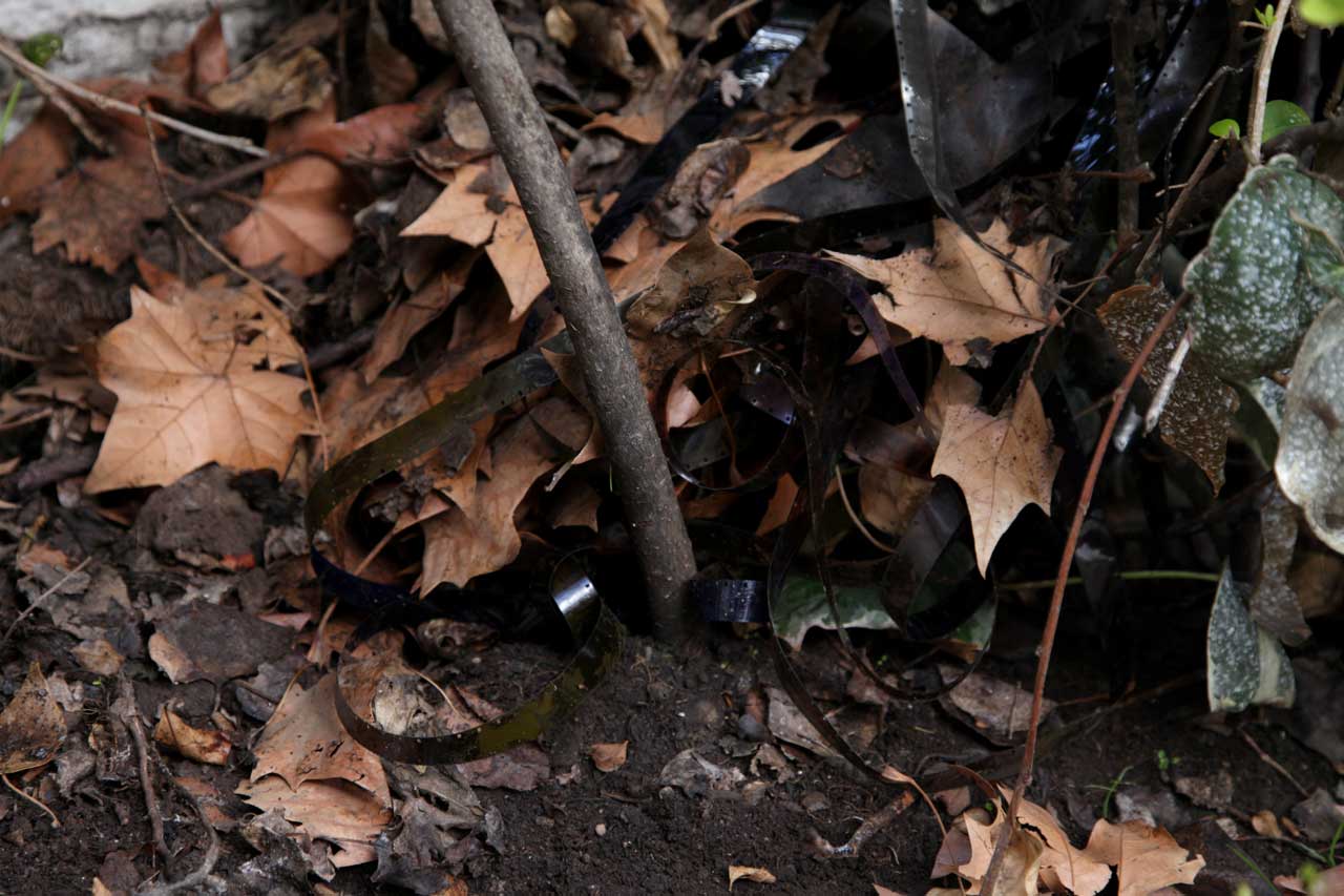 Burial 2 (August 2011)