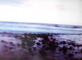 tropic 3