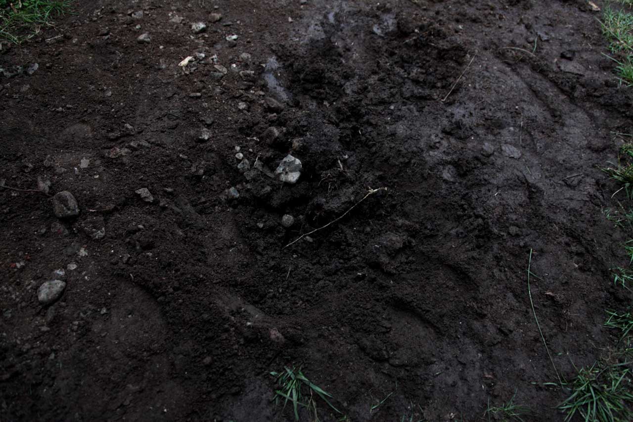 Burials 3,4,5 & 6 (March 2012)