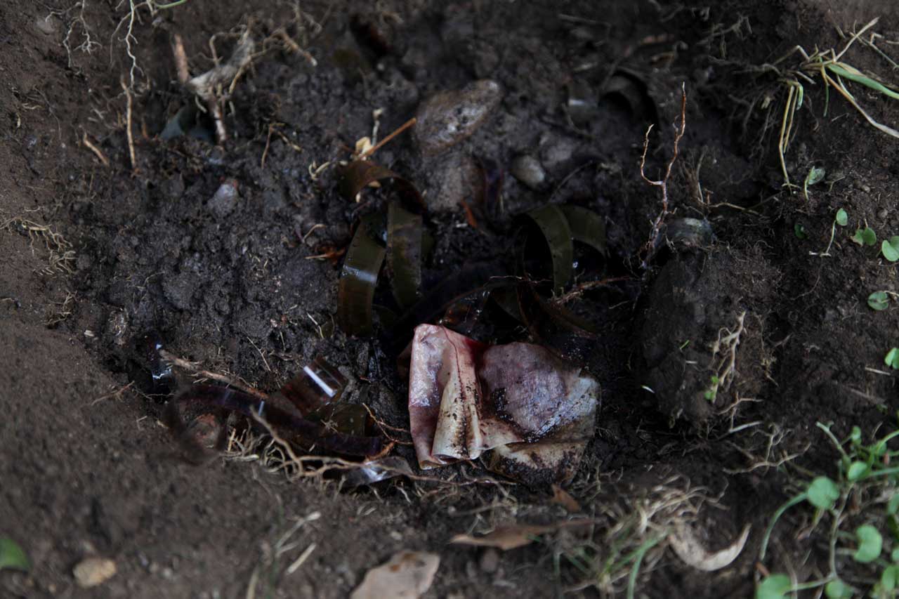 Burials 3,4,5 & 6 (March 2012)