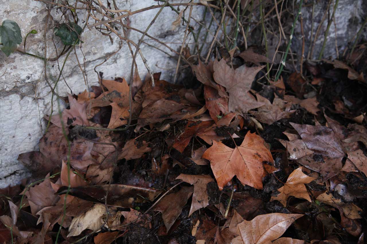 Burial 2 (August 2011)