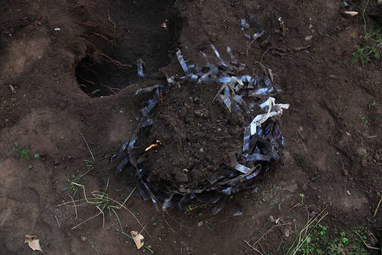 Unearthing 5 & 6 (April 2013)
