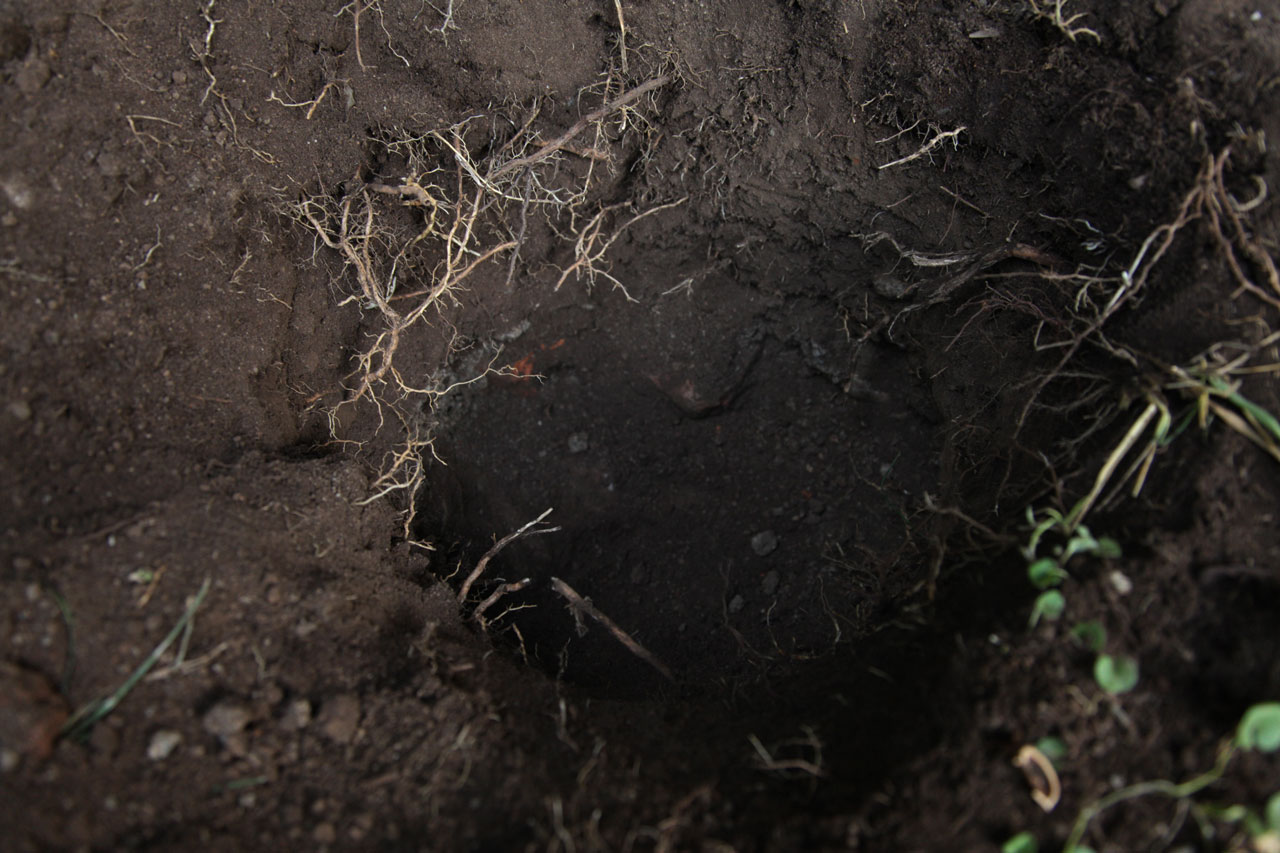 Burials 3,4,5 & 6 (March 2012)