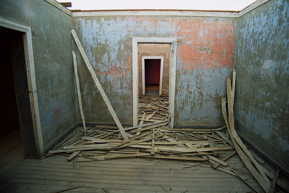 Photograph