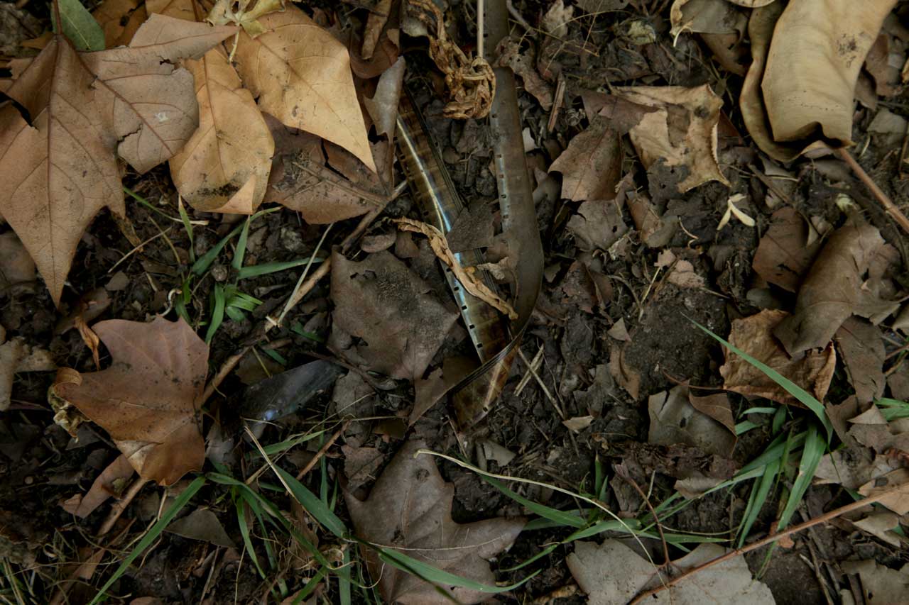 (3) Burials: February 2012