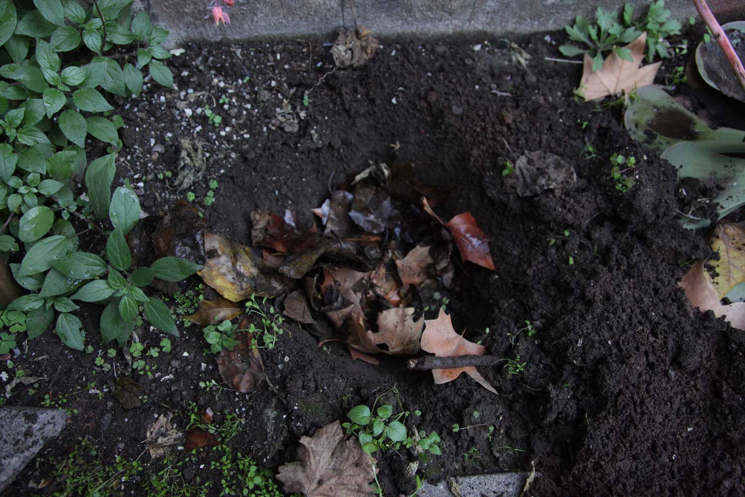 burial 7