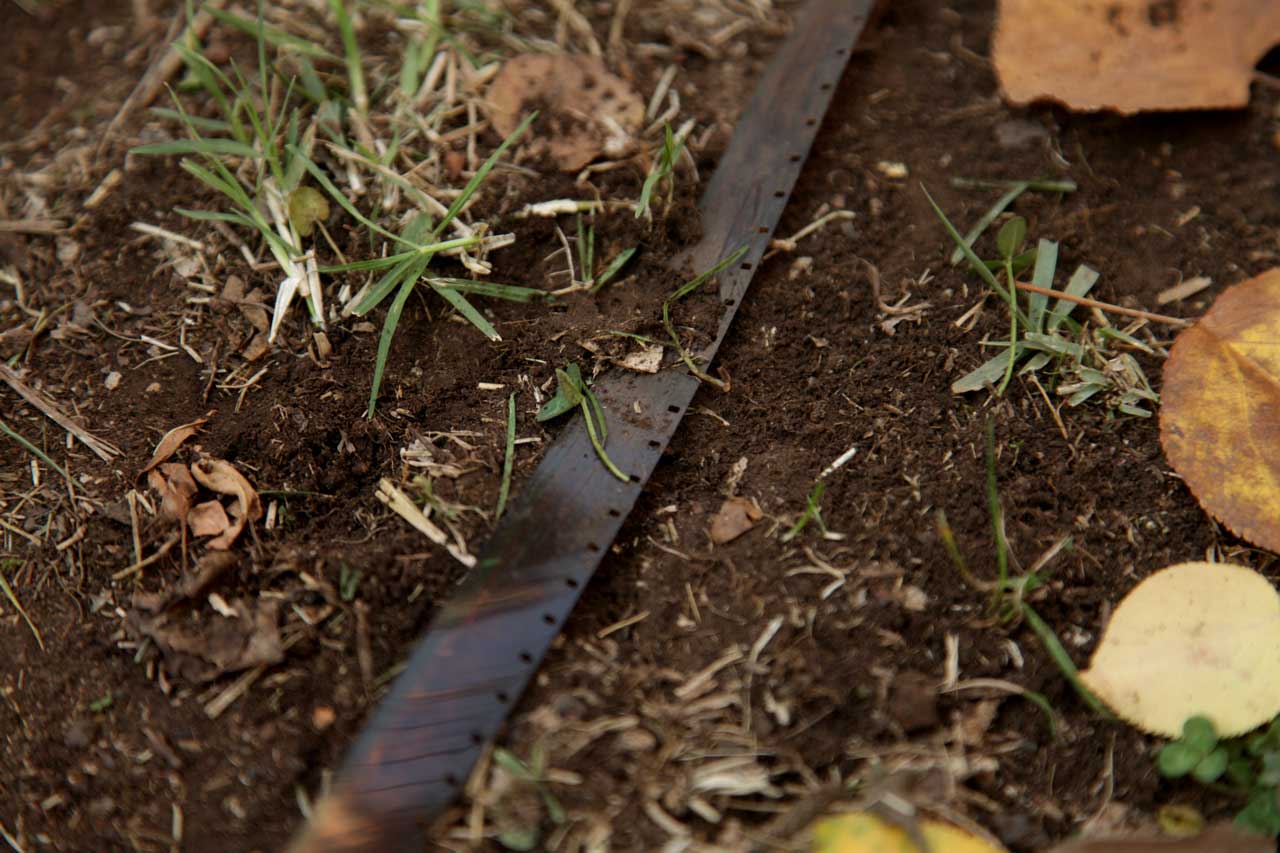Burials May 2011 (1)