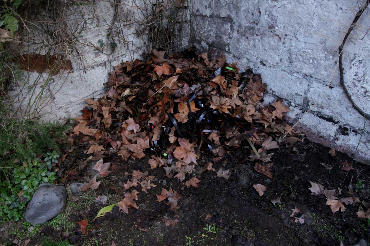 Burial 2 (August 2011)
