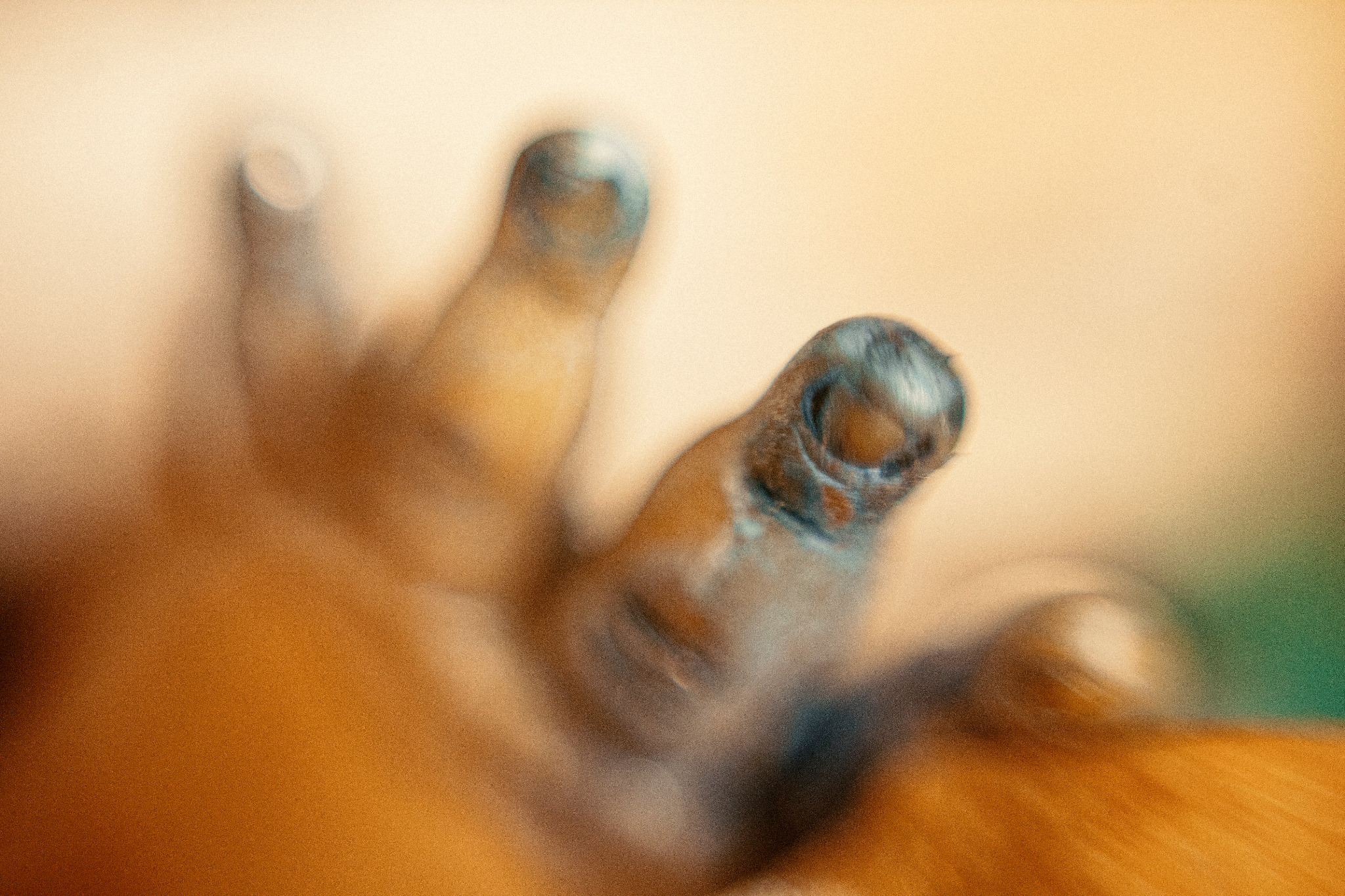 Merrimundi — making the film, photograph 11