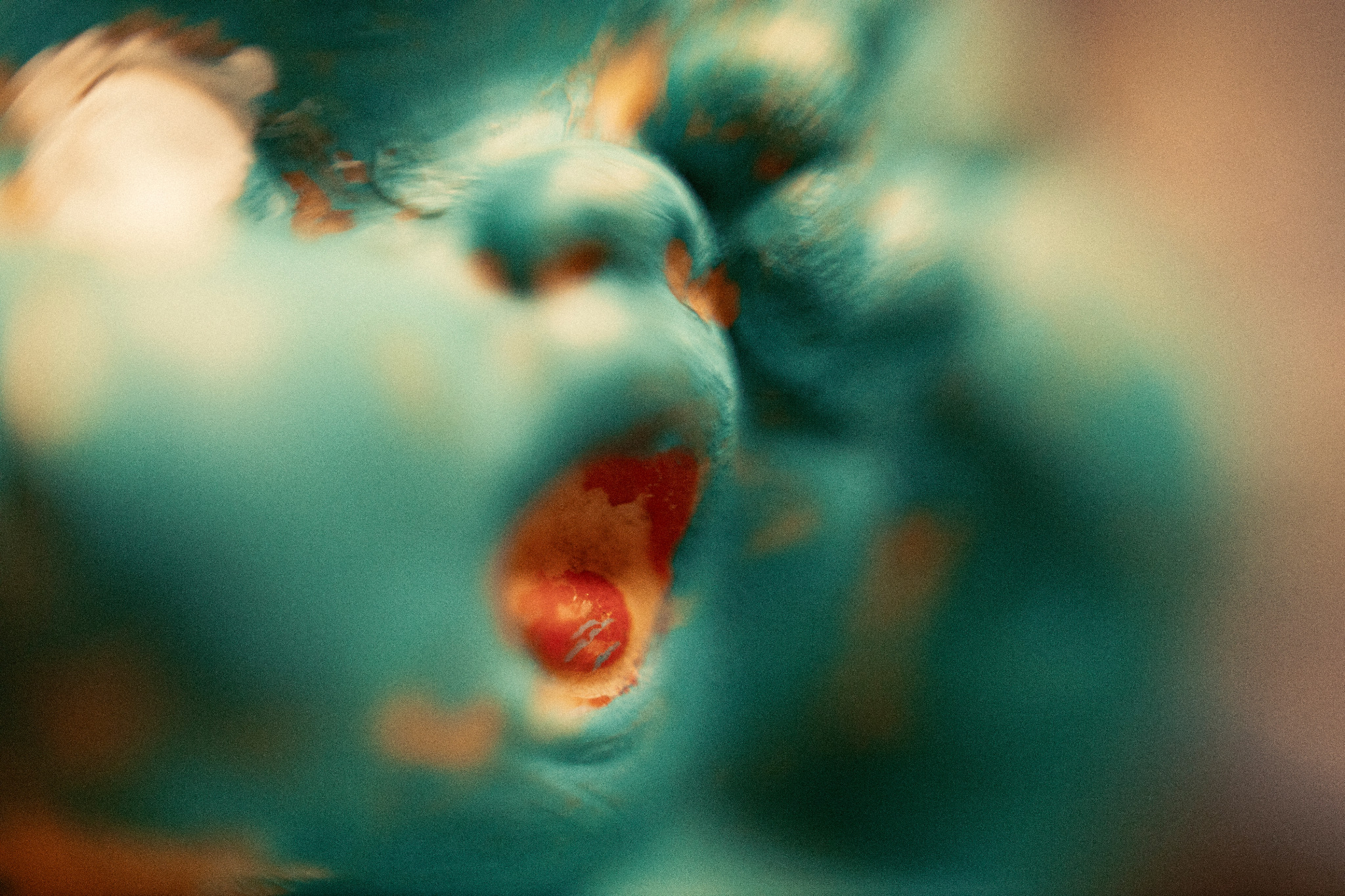 Merrimundi — making the film, photograph 13
