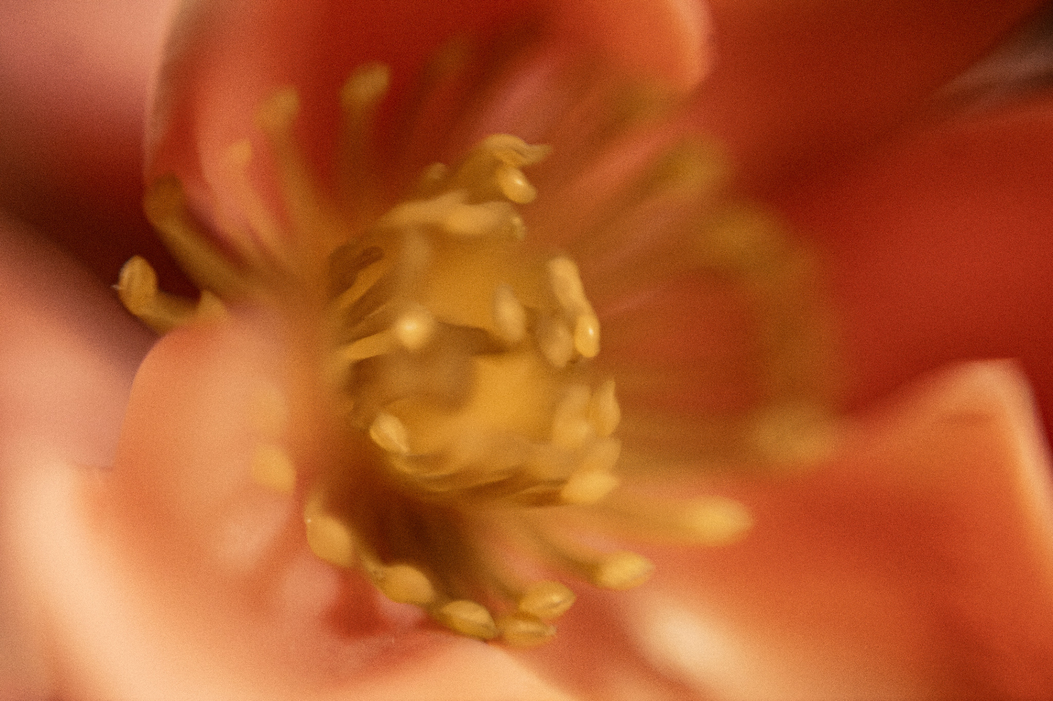 Merrimundi — making the film, photograph 16