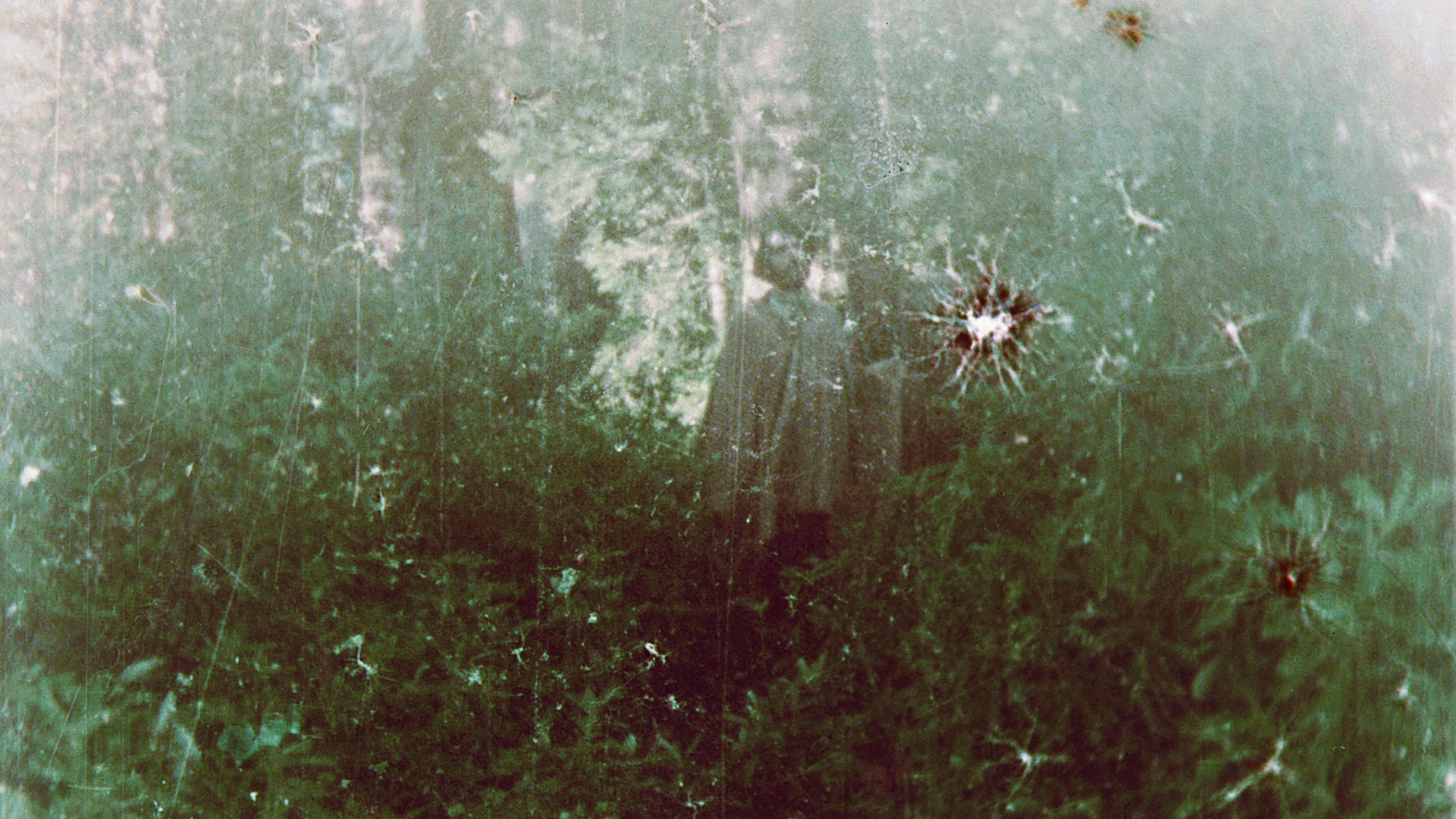 Rey — film still 27